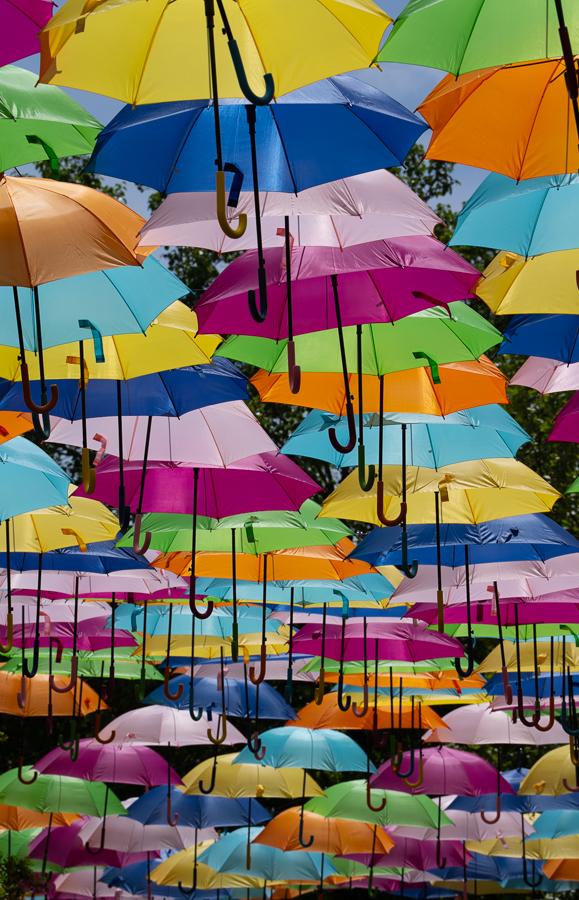 Canopy of multicolored umbrellas suspended overhead against trees and blue sky
